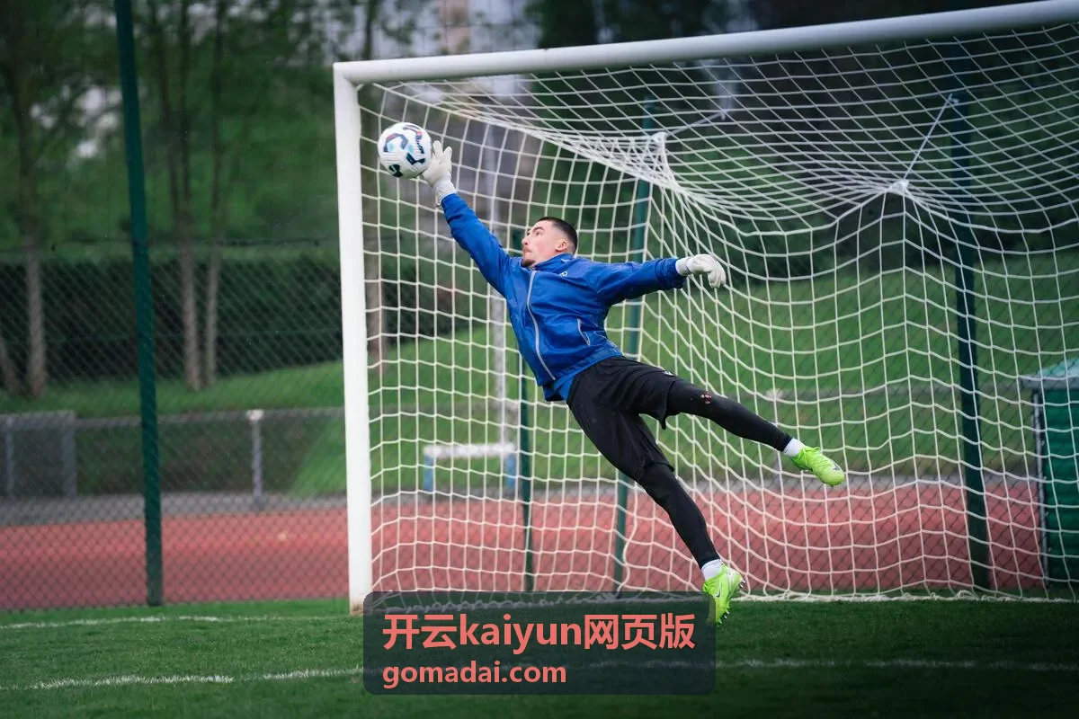 开云kaiyun网页版安全校验与权限分配示意